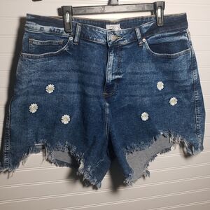 Forever 21 Distressed Jean Shorts with Embroidered Flowers